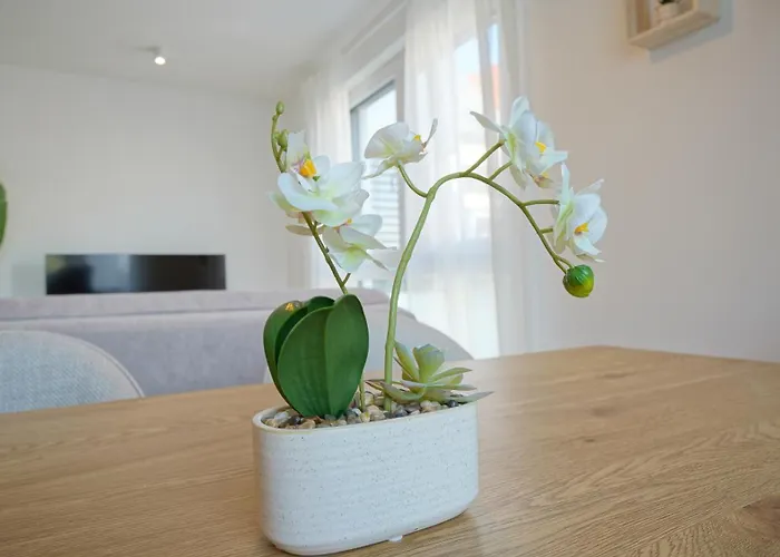 Modern Including Rooftop Terrace * Βιέννη